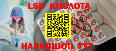 мяу мяу мука Славгород
