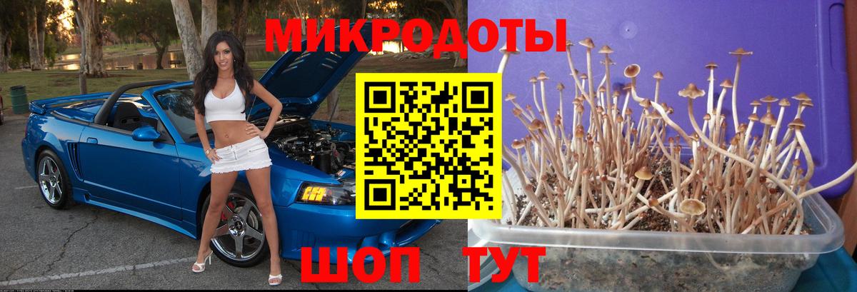 Галлюциногенные грибы Magic Shrooms Пушкино