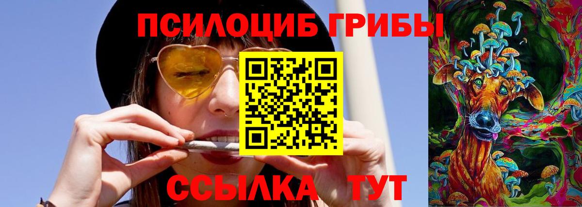 Галлюциногенные грибы мицелий  Вход с VPN  Пушкино  Галлюциногенные грибы Cubensis 