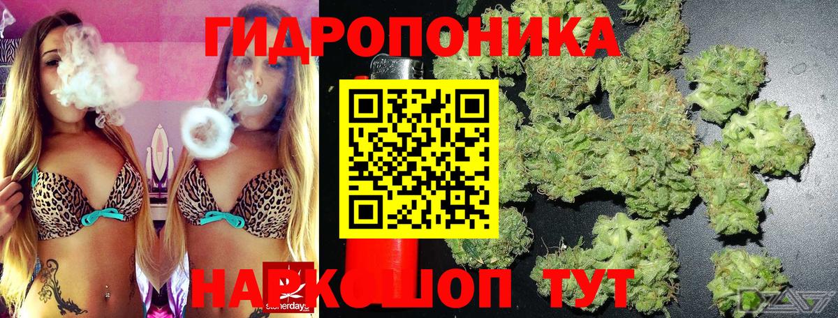 Бошки марихуана THC 21% Пушкино